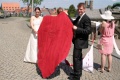 Hochzeit 184